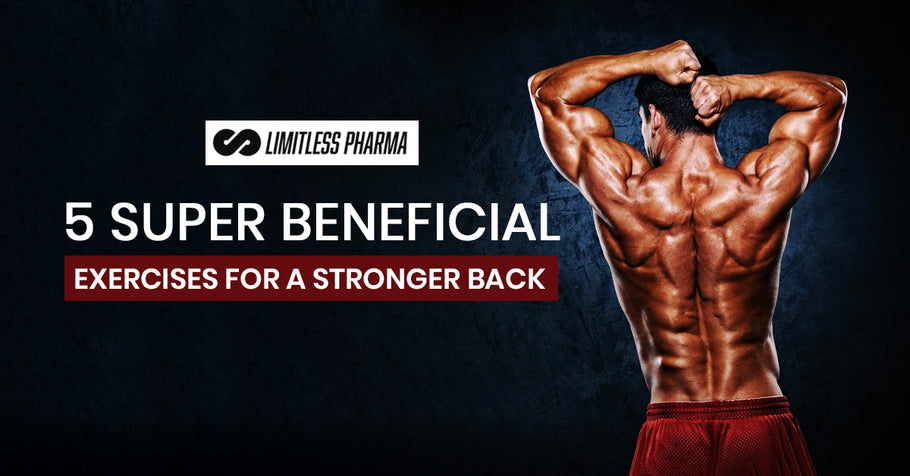 5 Super Beneficial Exercises for A Stronger Back