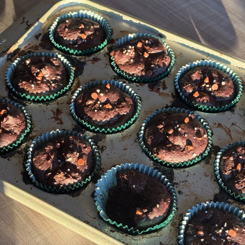 Chocolate Protein Muffins