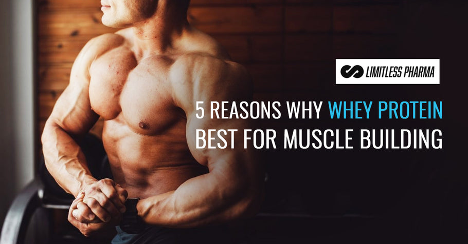 Whey Protein: 5 Reasons Why It's Best For Muscle Building